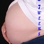 010410-scs-2 010410-scs-2