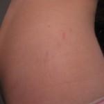 020810-danni-3