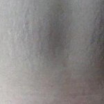 062810-lxnn-2