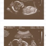 021412-tessa-6 021412-tessa-6