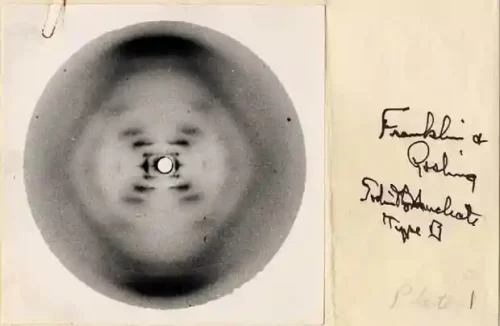 Image shows a shape roughly like a circle with a chromosome shaped like an X at the center., the outer part of the circle is blackened. To the right shows some cursive handwriting that is frankly hard to read but, among other things, does mention the names Franklin and Gosling. The background is like yellowed paper and a mark from a paper clip can be seen in the upper left corner.